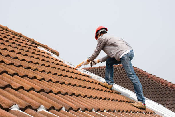  Rancho Alegre, TX Roofing services Pros