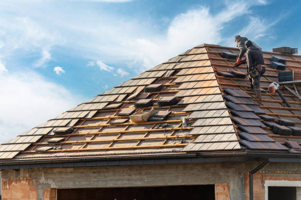 Best Metal Roofing Installation  in Rancho Alegre, TX