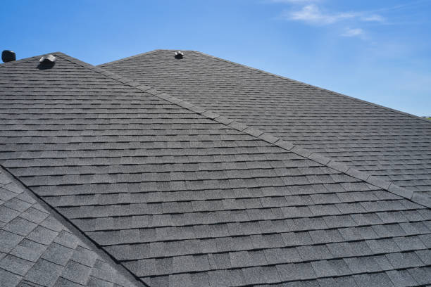 Skylights in Rancho Alegre, TX