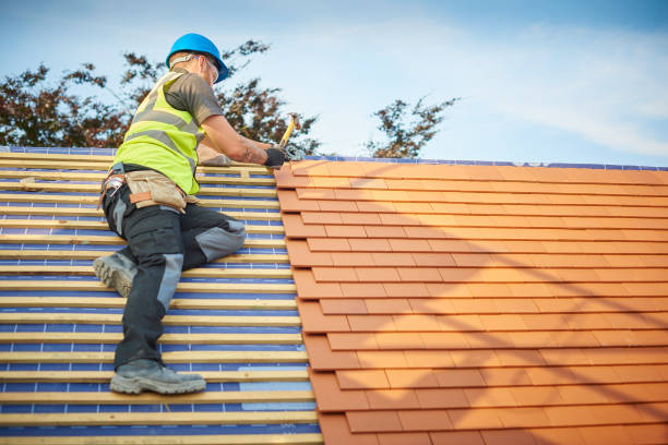 Best Chimney Flashing Repair  in Rancho Alegre, TX